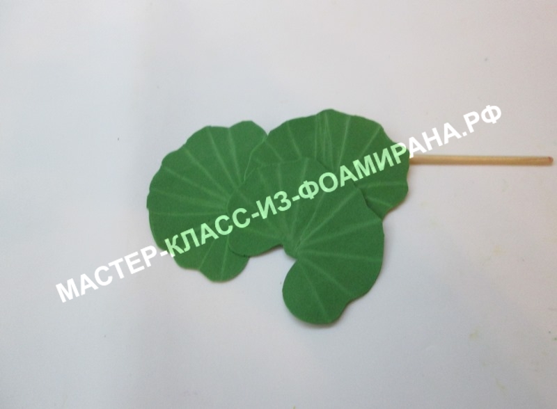 Листья лотоса из фоамирана, фото