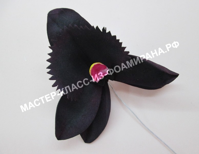 Сборка черной орхидеи из фоамирана, фото