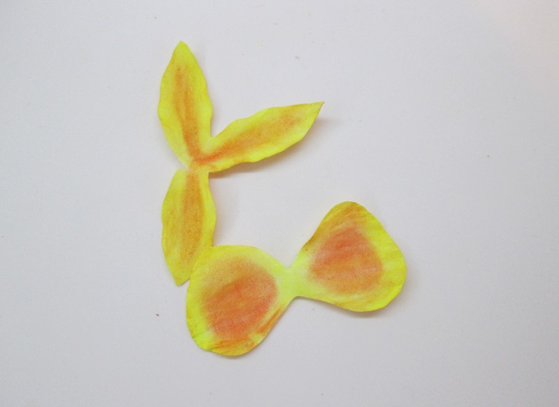 Обработка лепестков желтой орхидеи, пошаговое фото