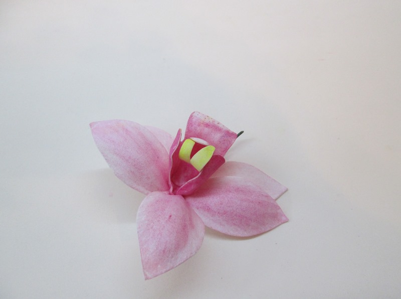 Розовая орхидея цимбидиум, пошаговое фото