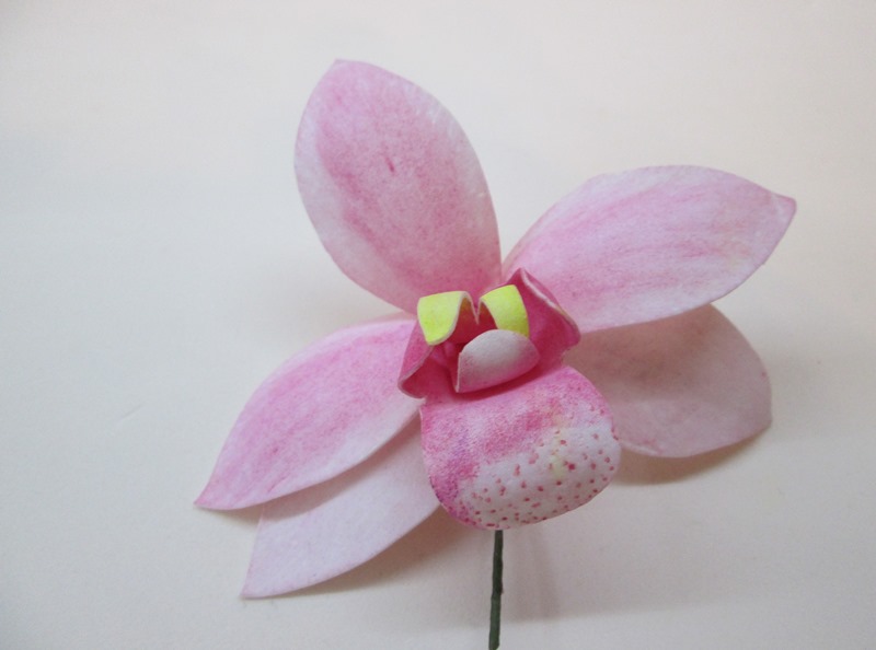 Орхидея цимбидиум, фото