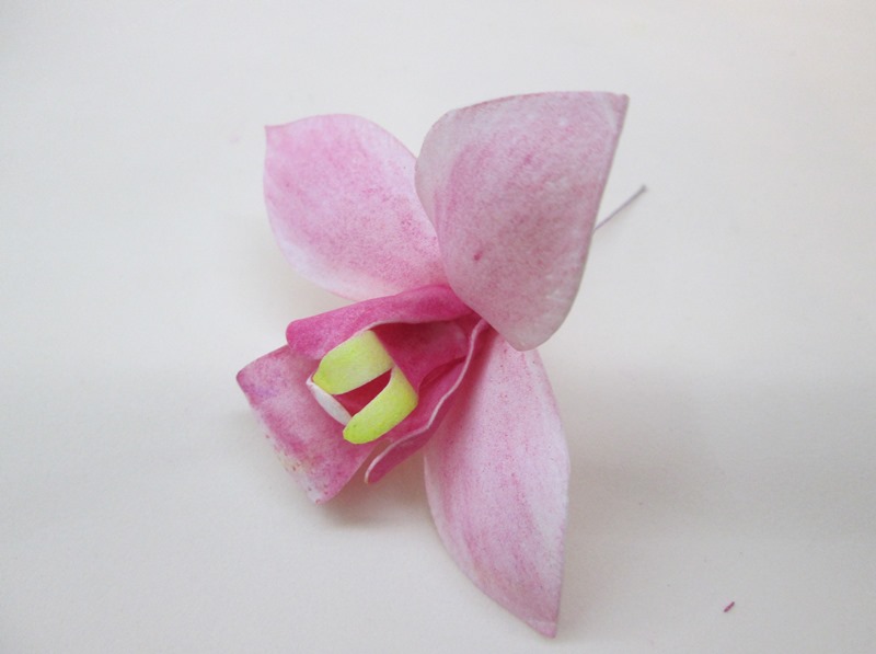 Собираем орхидею цимбидиум, пошаговое фото