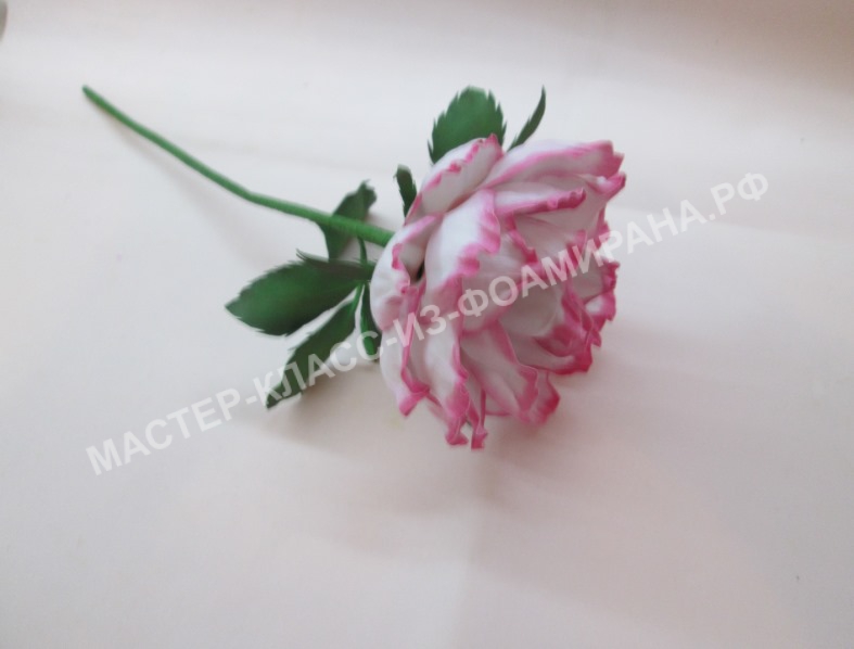 мастер-класс нежная роза из зефирного фоамирана