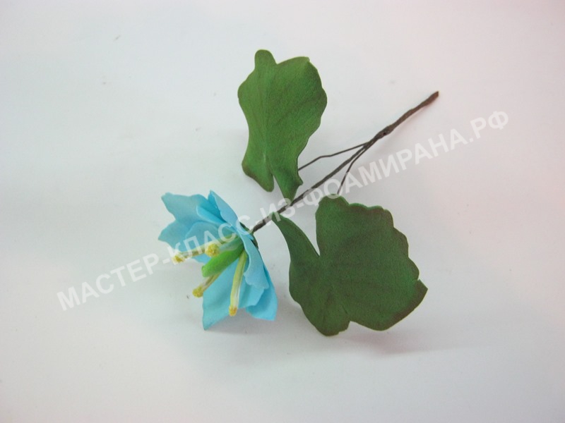 Мастер-класс синие цветы из фоамирана.