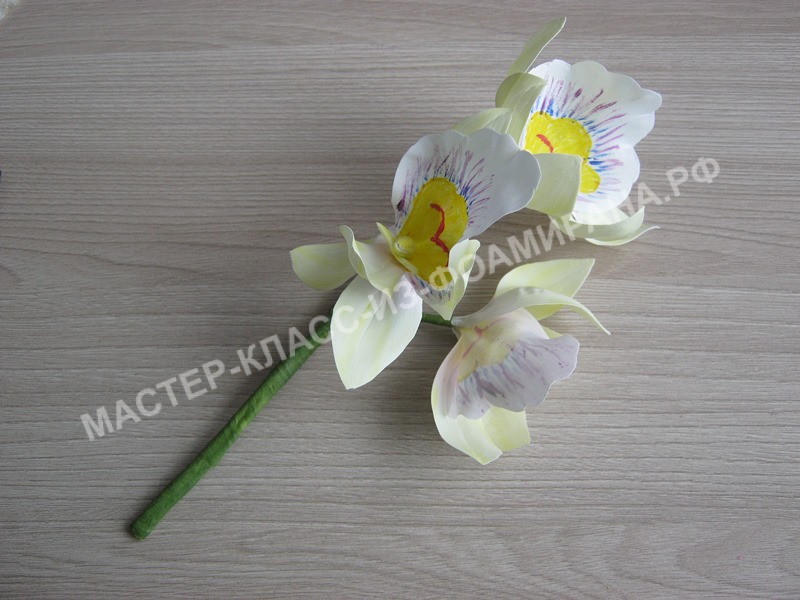 Мастер-класс орхидея мильтония,пошаговое фото.